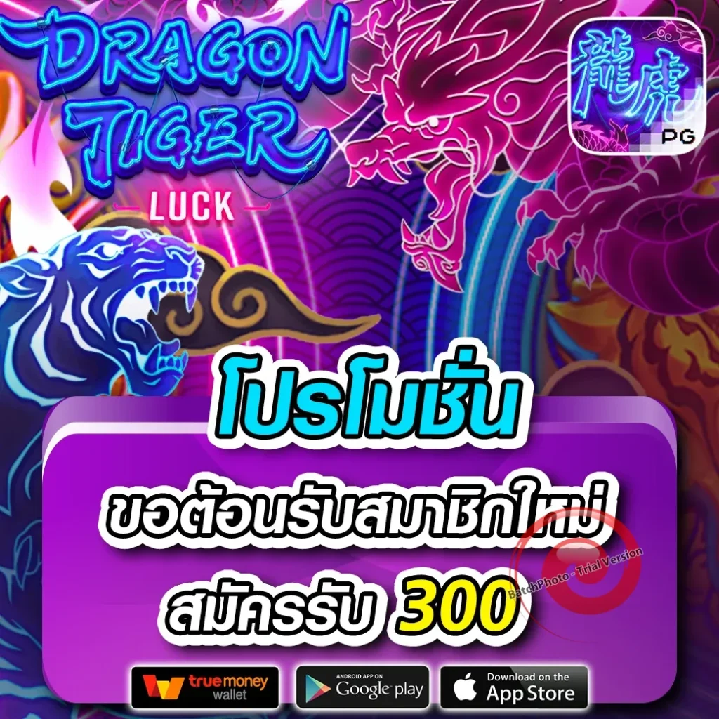 full 1688