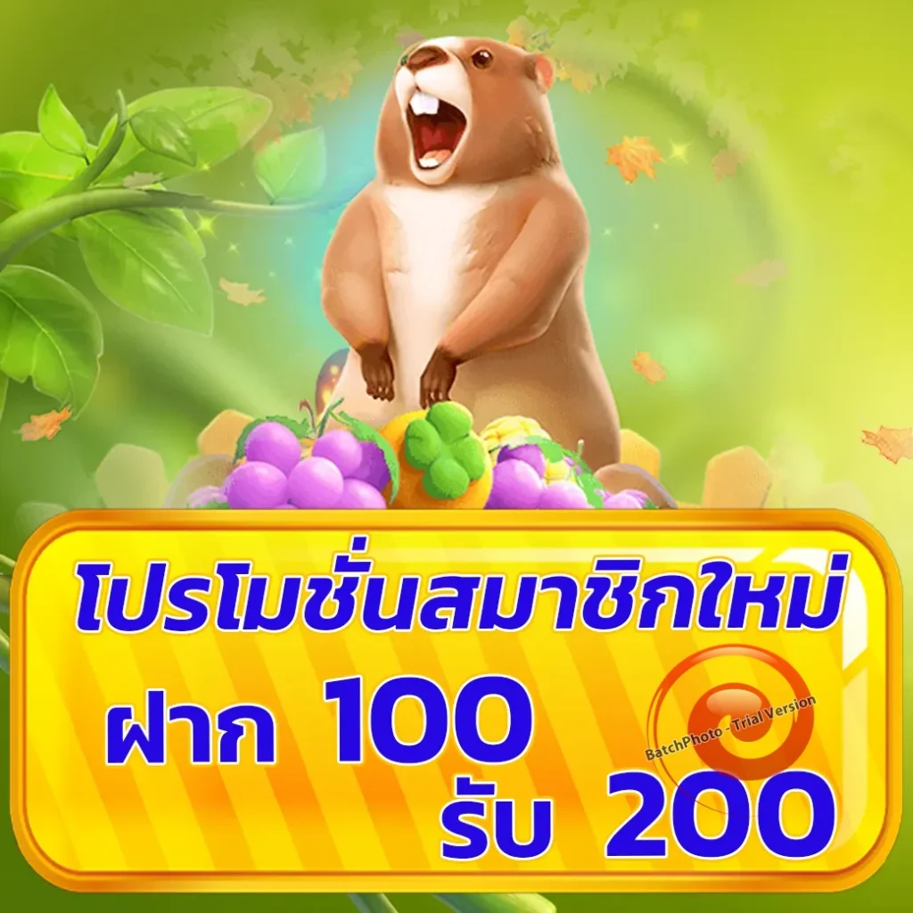 full 1688 แตกง่าย